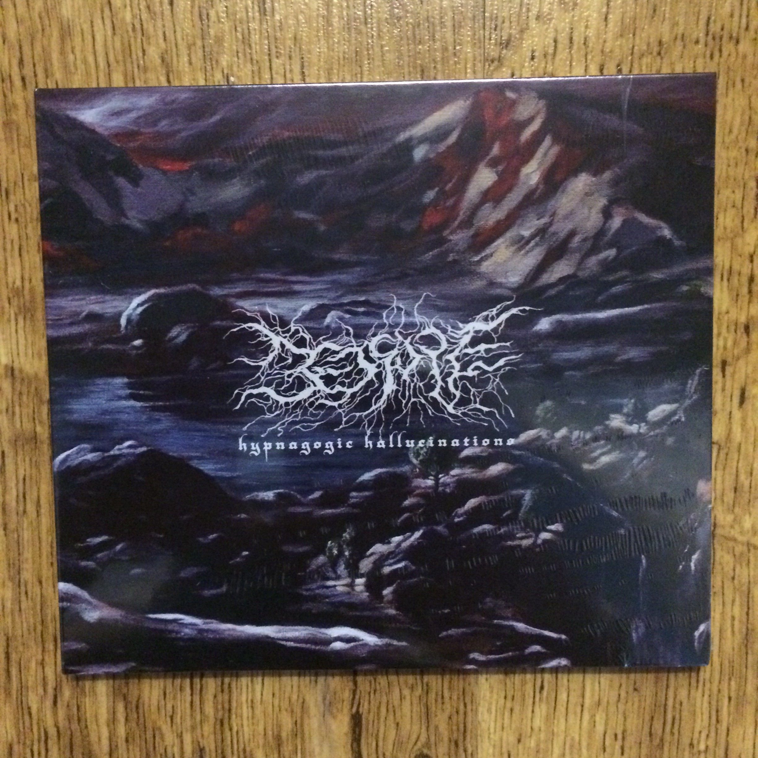 Photo of the Bedsore - "Hypnagogic Hallucinations" CD