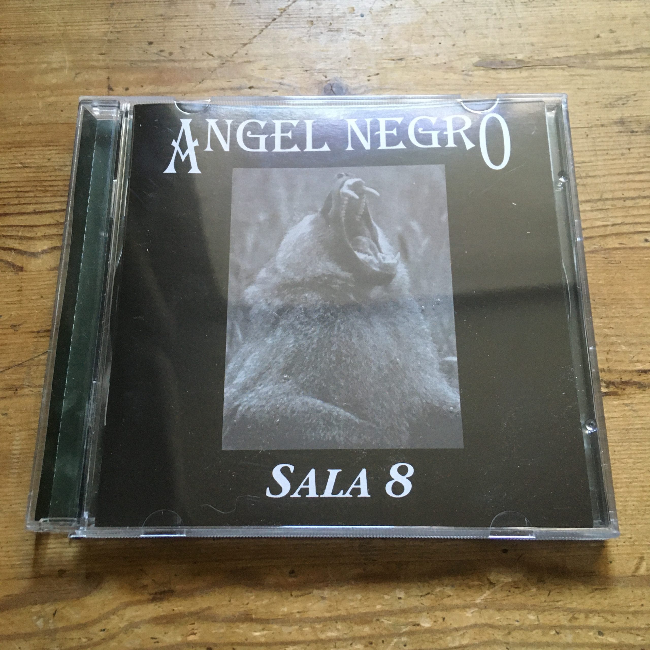 Photo of the Angel Negro - 