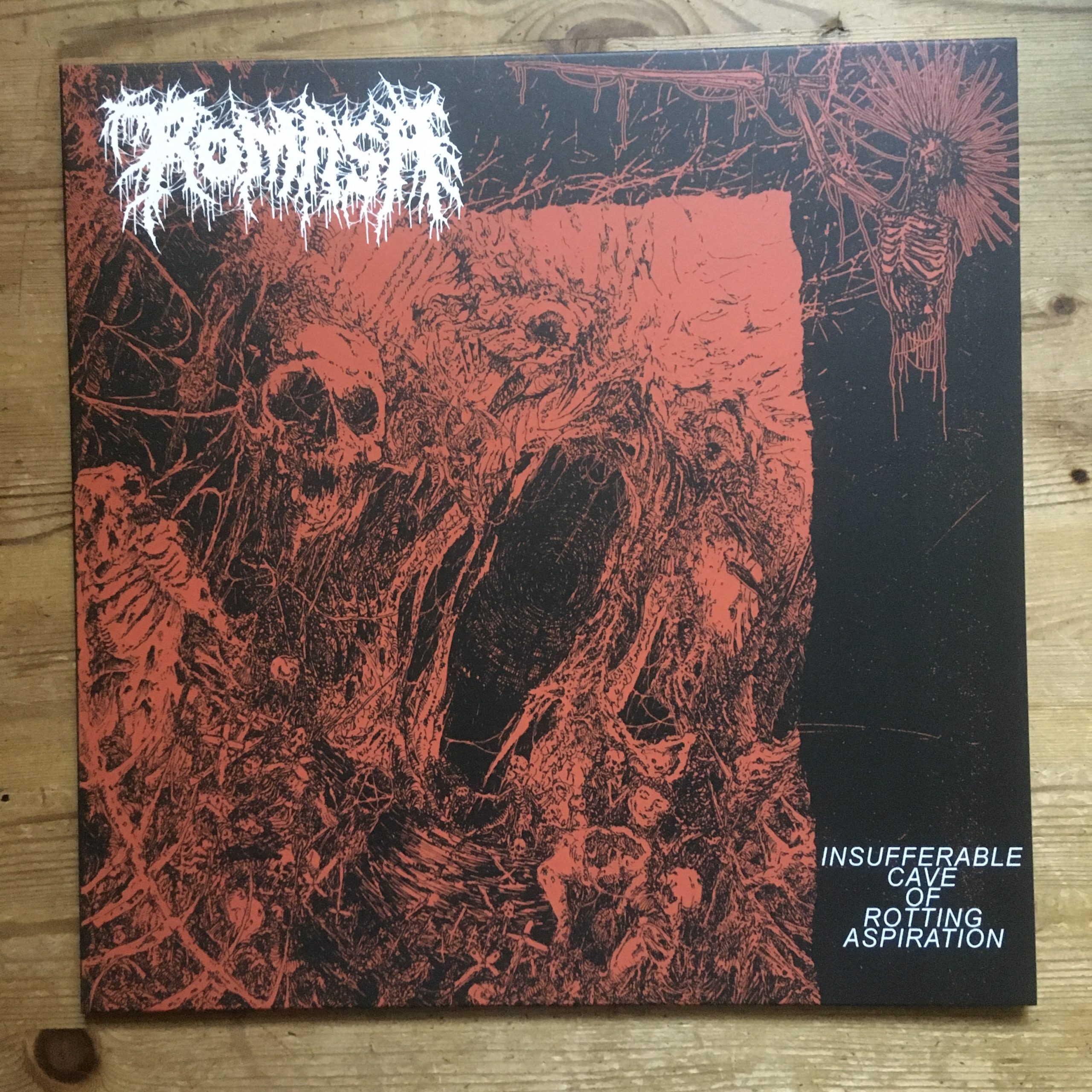 Photo of the Romasa - "Insuferrable Cave Of Rotting Aspiration" LP (Black vinyl)