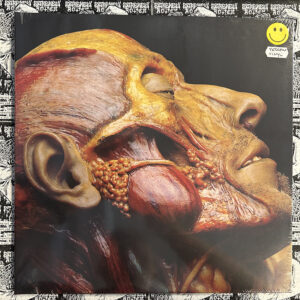 Lymphatic Phlegm - “Show-Off Cadavers - The Anatomy of Self Display” LP (Yellow vinyl)