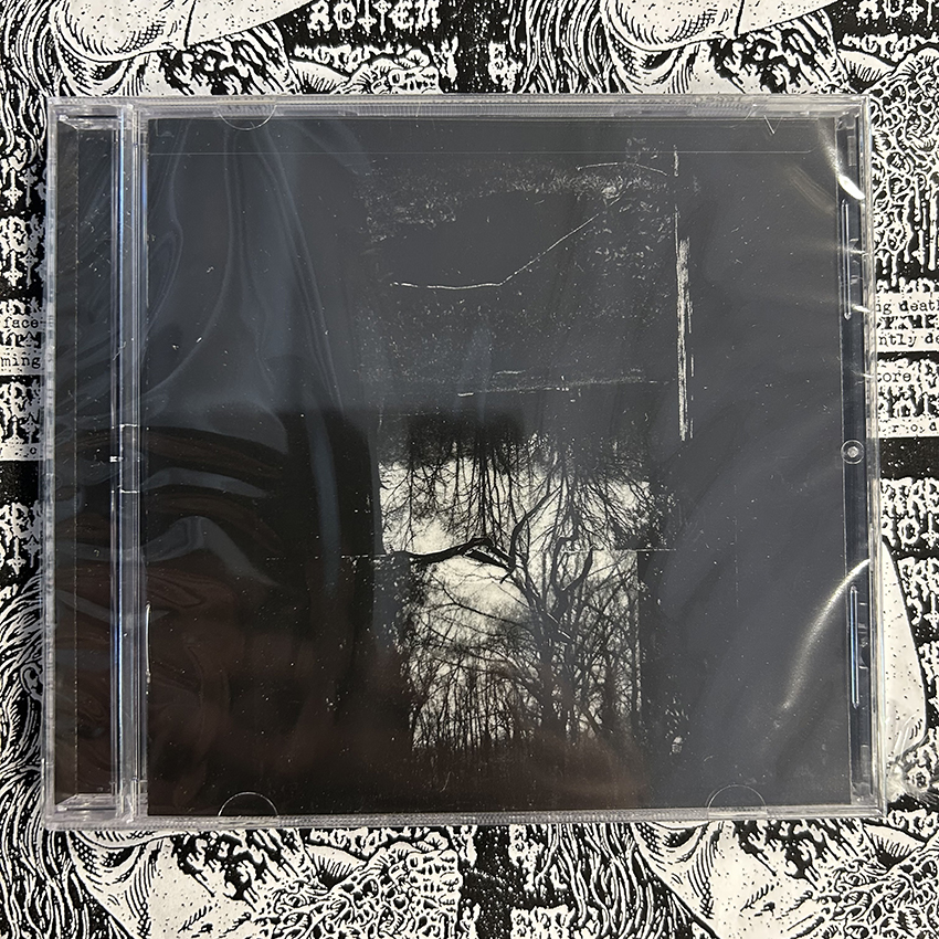 Reverence to Paroxysm - 