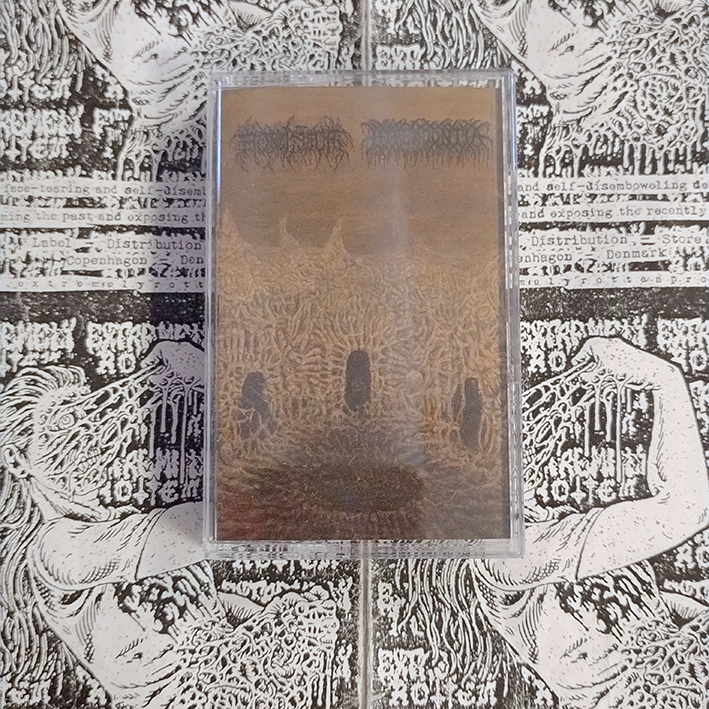 New — Extremely Rotten Productions